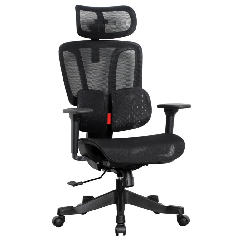 AD-E5 Segmented Lumbar Mesh Task Chair