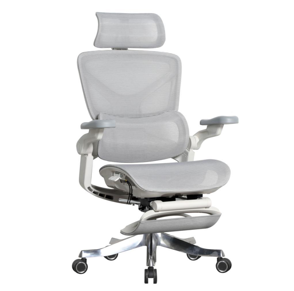 AD-E2 Light-Finish Mesh Office Chair